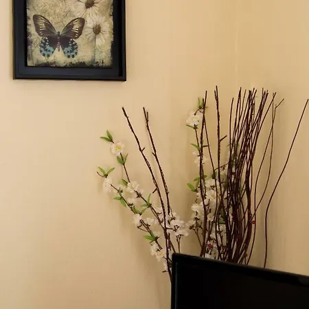 Apartman Dreamy By The Sea